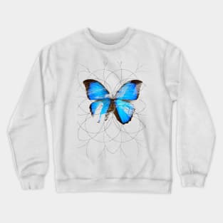 Temporary Crewneck Sweatshirt